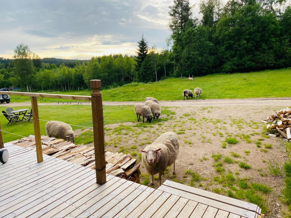 Adventure Guesthouse Sweden In Rural Area ซุนเน ภายนอก รูปภาพ